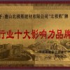 行业十大影响力品牌2015